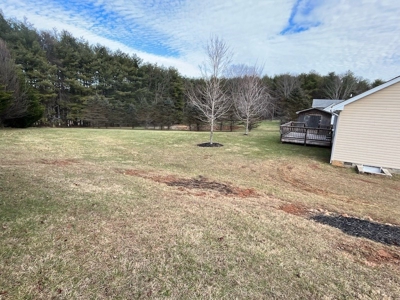Home for Sale Near the Town of Floyd VA - image 5
