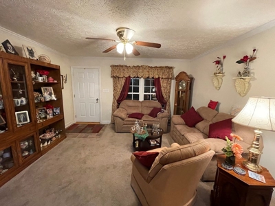 Home for Sale Near the Town of Floyd VA - image 17