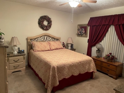 Home for Sale Near the Town of Floyd VA - image 19