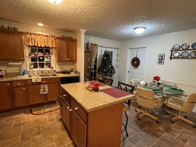 Home for Sale Near the Town of Floyd VA - image 13