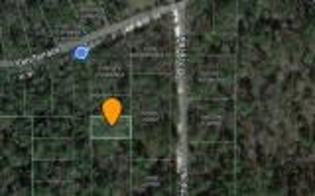 Recreational Lot - Live Oak Florida - Suwannee County Fl! - image 4
