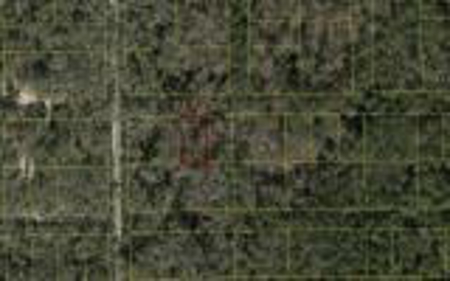 Recreational Lot - Live Oak Florida - Suwannee County Fl! - image 4
