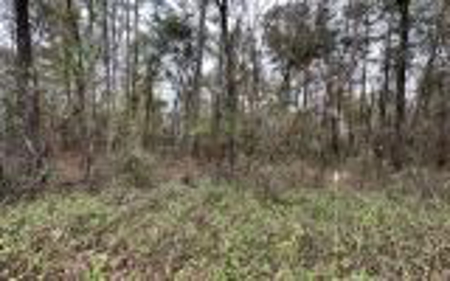 Recreational Lot - Live Oak Florida - Suwannee County Fl! - image 1