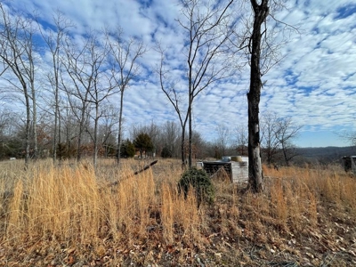 Tiny house and small acreage for sale in Squires mo. - image 14