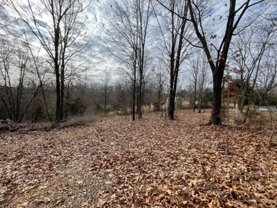 Tiny house and small acreage for sale in Squires mo. - image 19