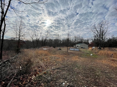 Tiny house and small acreage for sale in Squires mo. - image 18