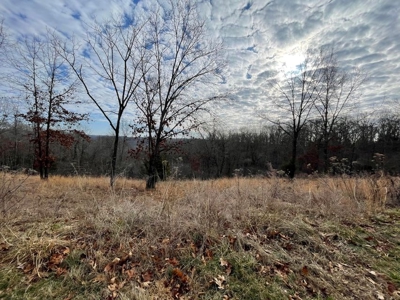 Tiny house and small acreage for sale in Squires mo. - image 15