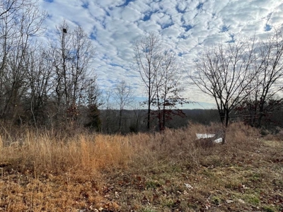 Tiny house and small acreage for sale in Squires mo. - image 16