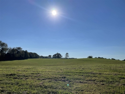 70.3 acre pasture & hay land for sale near Smiths Grove, Ky. - image 11