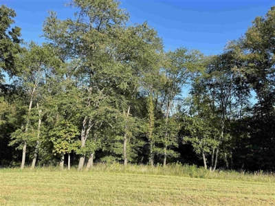 70.3 acre pasture & hay land for sale near Smiths Grove, Ky. - image 10