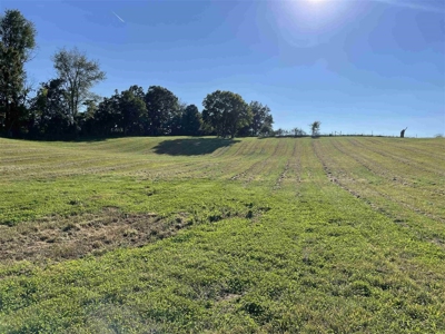70.3 acre pasture & hay land for sale near Smiths Grove, Ky. - image 13