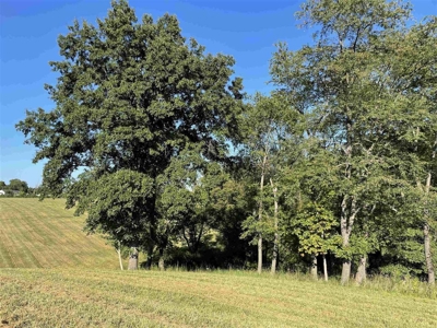 70.3 acre pasture & hay land for sale near Smiths Grove, Ky. - image 9