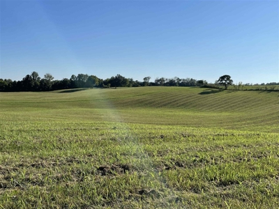 70.3 acre pasture & hay land for sale near Smiths Grove, Ky. - image 20