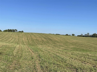 70.3 acre pasture & hay land for sale near Smiths Grove, Ky. - image 18