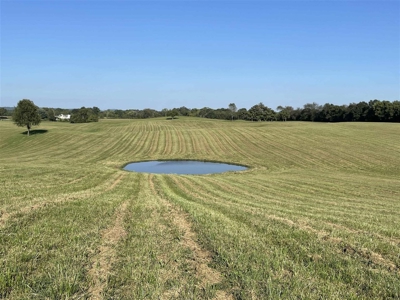 70.3 acre pasture & hay land for sale near Smiths Grove, Ky. - image 16