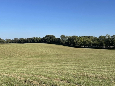 70.3 acre pasture & hay land for sale near Smiths Grove, Ky. - image 14