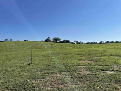 70.3 acre pasture & hay land for sale near Smiths Grove, Ky. - image 2