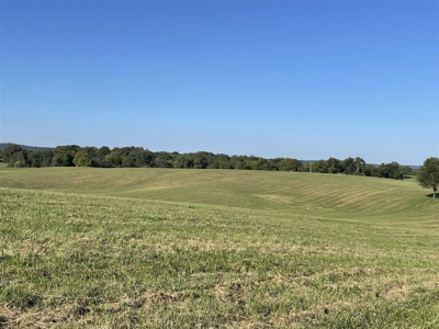 70.3 acre pasture & hay land for sale near Smiths Grove, Ky. - image 15