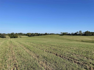 70.3 acre pasture & hay land for sale near Smiths Grove, Ky. - image 22