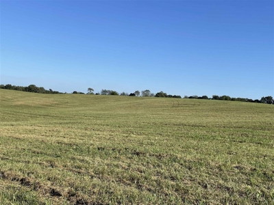 70.3 acre pasture & hay land for sale near Smiths Grove, Ky. - image 19