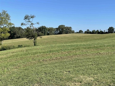 70.3 acre pasture & hay land for sale near Smiths Grove, Ky. - image 4