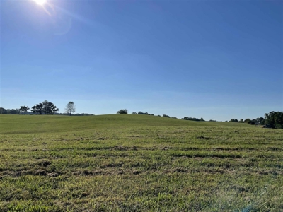 70.3 acre pasture & hay land for sale near Smiths Grove, Ky. - image 12