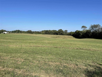 70.3 acre pasture & hay land for sale near Smiths Grove, Ky. - image 1