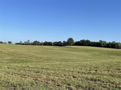 70.3 acre pasture & hay land for sale near Smiths Grove, Ky. - image 17