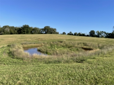 70.3 acre pasture & hay land for sale near Smiths Grove, Ky. - image 7