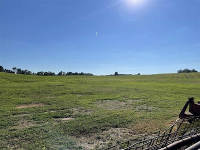 70.3 acre pasture & hay land for sale near Smiths Grove, Ky. - image 3