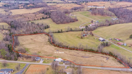 Absolute Auction - Online Only - Acreage in Clinton County - image 4