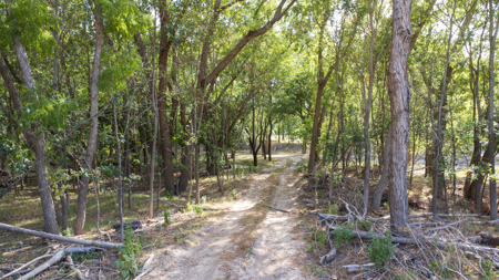 214±-Acre Luxury TX Hill Country Ranch with Leon River Frontage - image 46