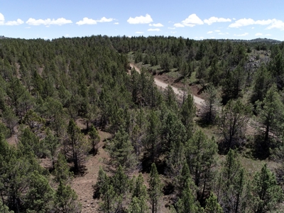 Rural Acreage with Wildlife & Views in Northern, CA - image 9
