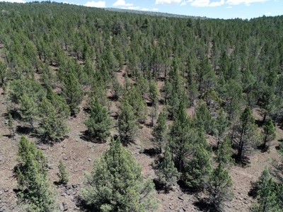 Rural Acreage with Wildlife & Views in Northern, CA - image 5