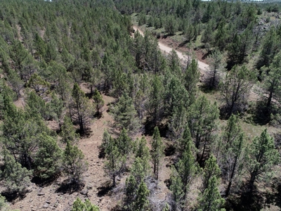 Rural Acreage with Wildlife & Views in Northern, CA - image 7