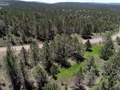 Rural Acreage with Wildlife & Views in Northern, CA - image 6