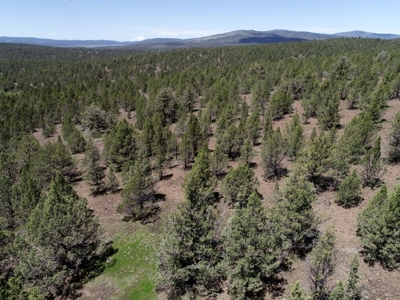 Rural Acreage with Wildlife & Views in Northern, CA - image 1
