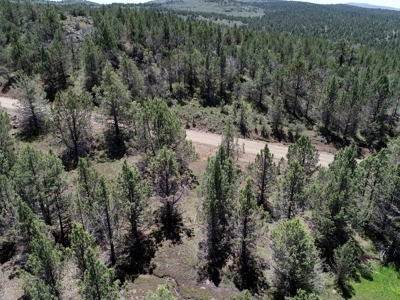 Rural Acreage with Wildlife & Views in Northern, CA - image 8