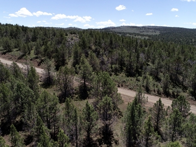 Rural Acreage with Wildlife & Views in Northern, CA - image 3