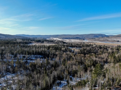 100 Acre Timberland Parcel with a Trout Stream Cabin - image 21