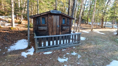 100 Acre Timberland Parcel with a Trout Stream Cabin - image 11