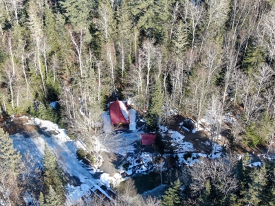 100 Acre Timberland Parcel with a Trout Stream Cabin - image 4