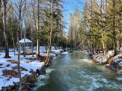 100 Acre Timberland Parcel with a Trout Stream Cabin - image 12
