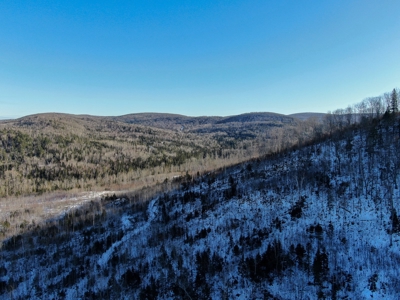 100 Acre Timberland Parcel with a Trout Stream Cabin - image 16