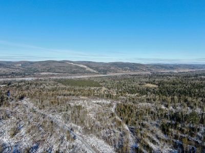 100 Acre Timberland Parcel with a Trout Stream Cabin - image 18