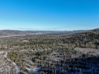100 Acre Timberland Parcel with a Trout Stream Cabin - image 20