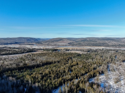100 Acre Timberland Parcel with a Trout Stream Cabin - image 19