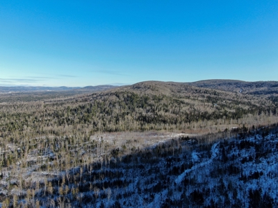 100 Acre Timberland Parcel with a Trout Stream Cabin - image 17