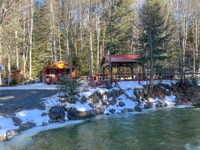 100 Acre Timberland Parcel with a Trout Stream Cabin - image 8