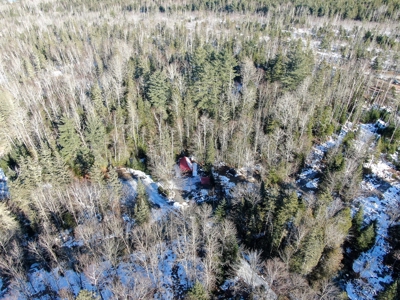 100 Acre Timberland Parcel with a Trout Stream Cabin - image 3